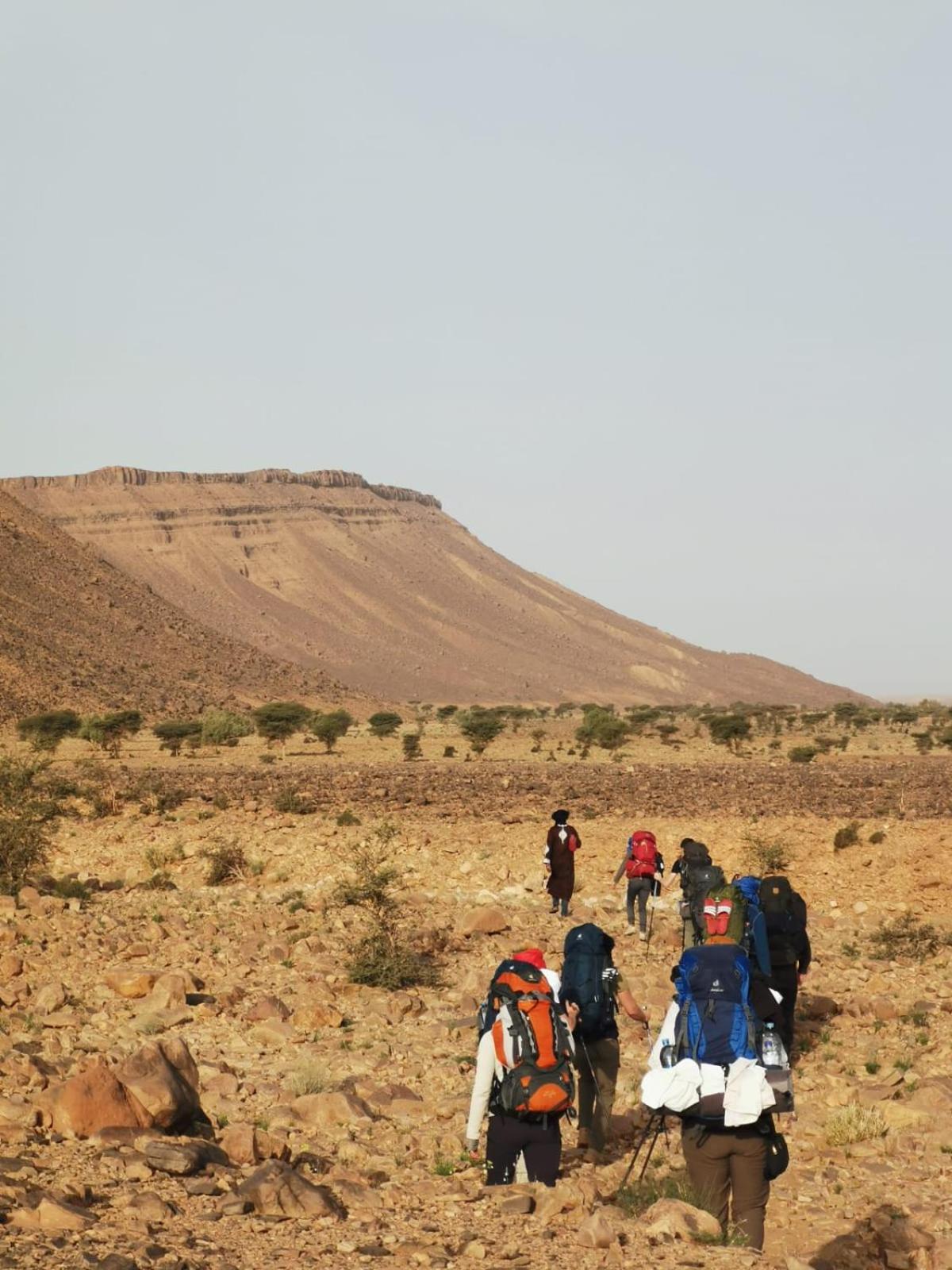 Готель Bivouac Les Nomades & Foum Zguid To Chegaga Tours Екстер'єр фото