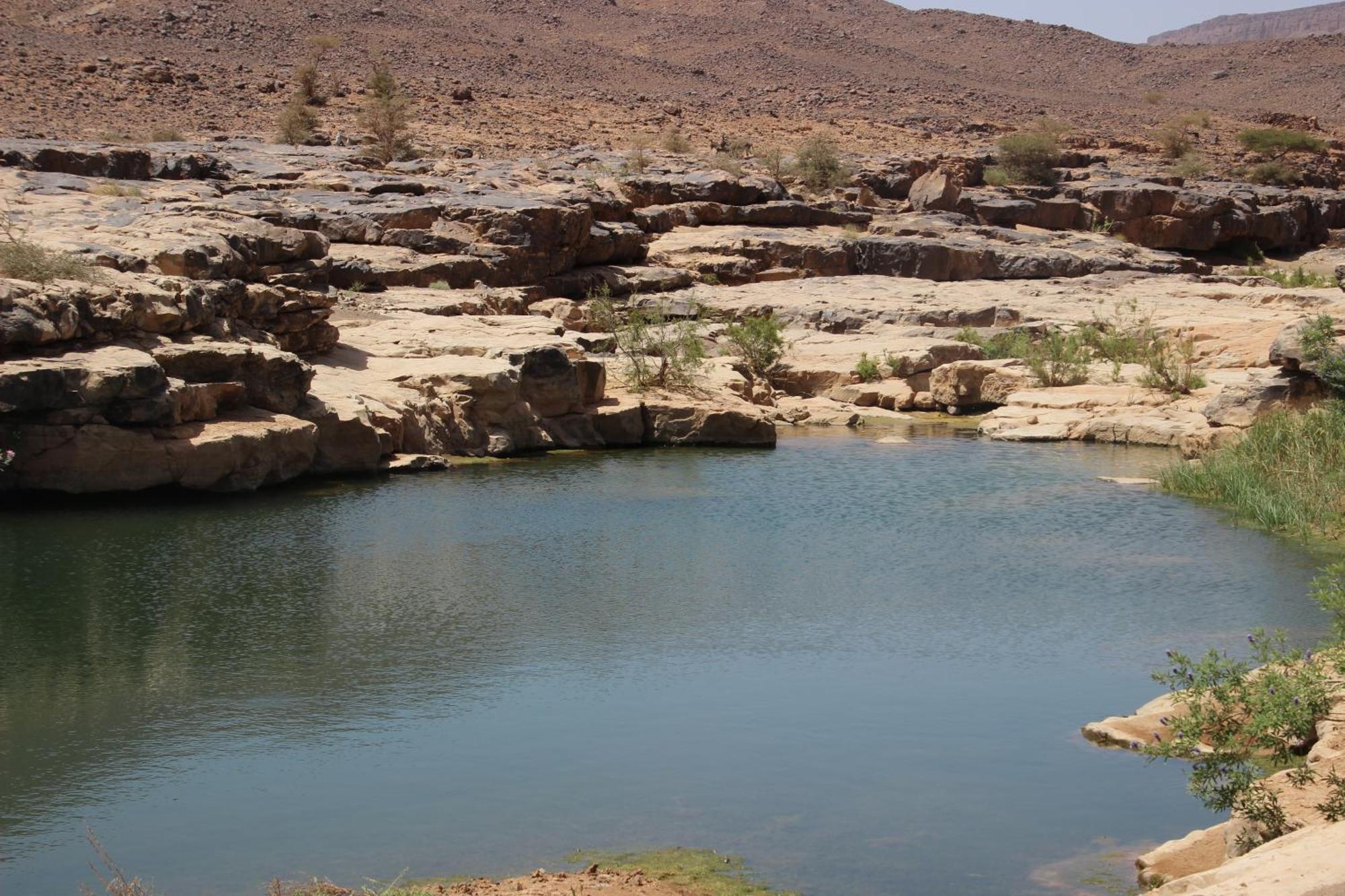Готель Bivouac Les Nomades & Foum Zguid To Chegaga Tours Екстер'єр фото