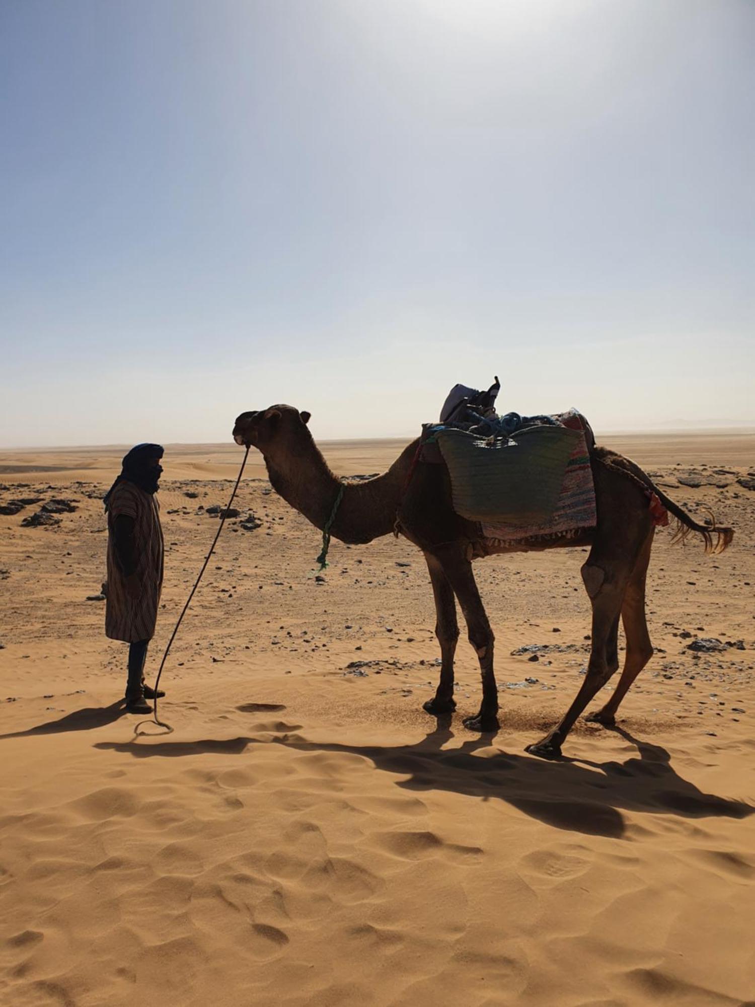 Готель Bivouac Les Nomades & Foum Zguid To Chegaga Tours Екстер'єр фото